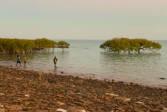 Mangrove fishing-Town Beach Mangrove fishing-Town Beach